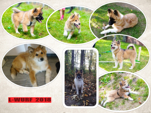 ../images/_newspics/b9776e6ddf67f07fa457305b256d1b3b.png